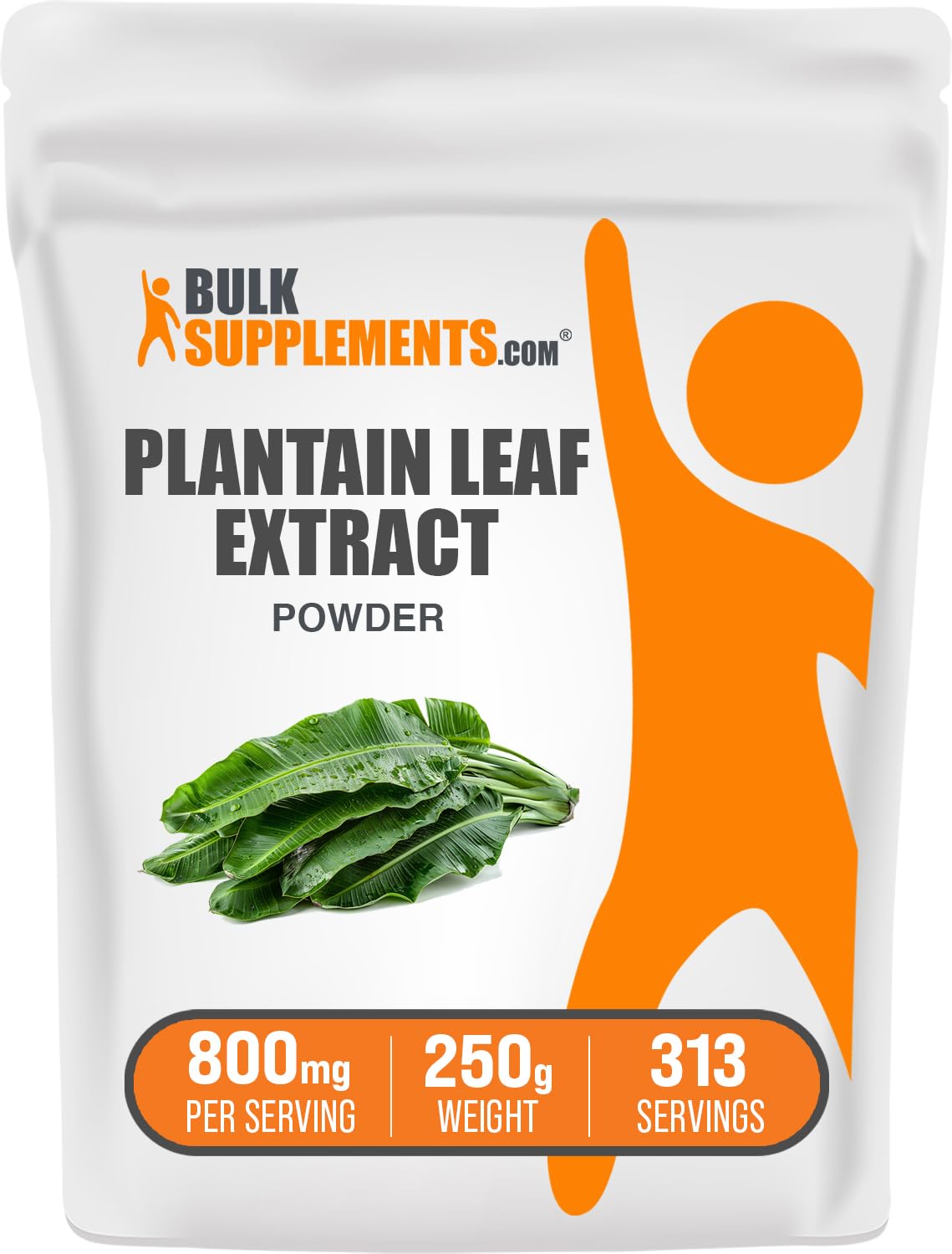 Bottle of BulkSupplements Plantain Leaf Extract Powder with 800mg per serving label