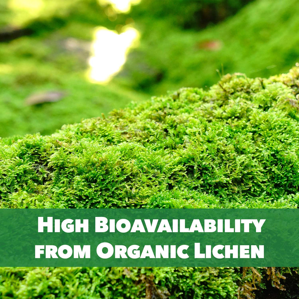 Clean vegan D3 formula ingredients label