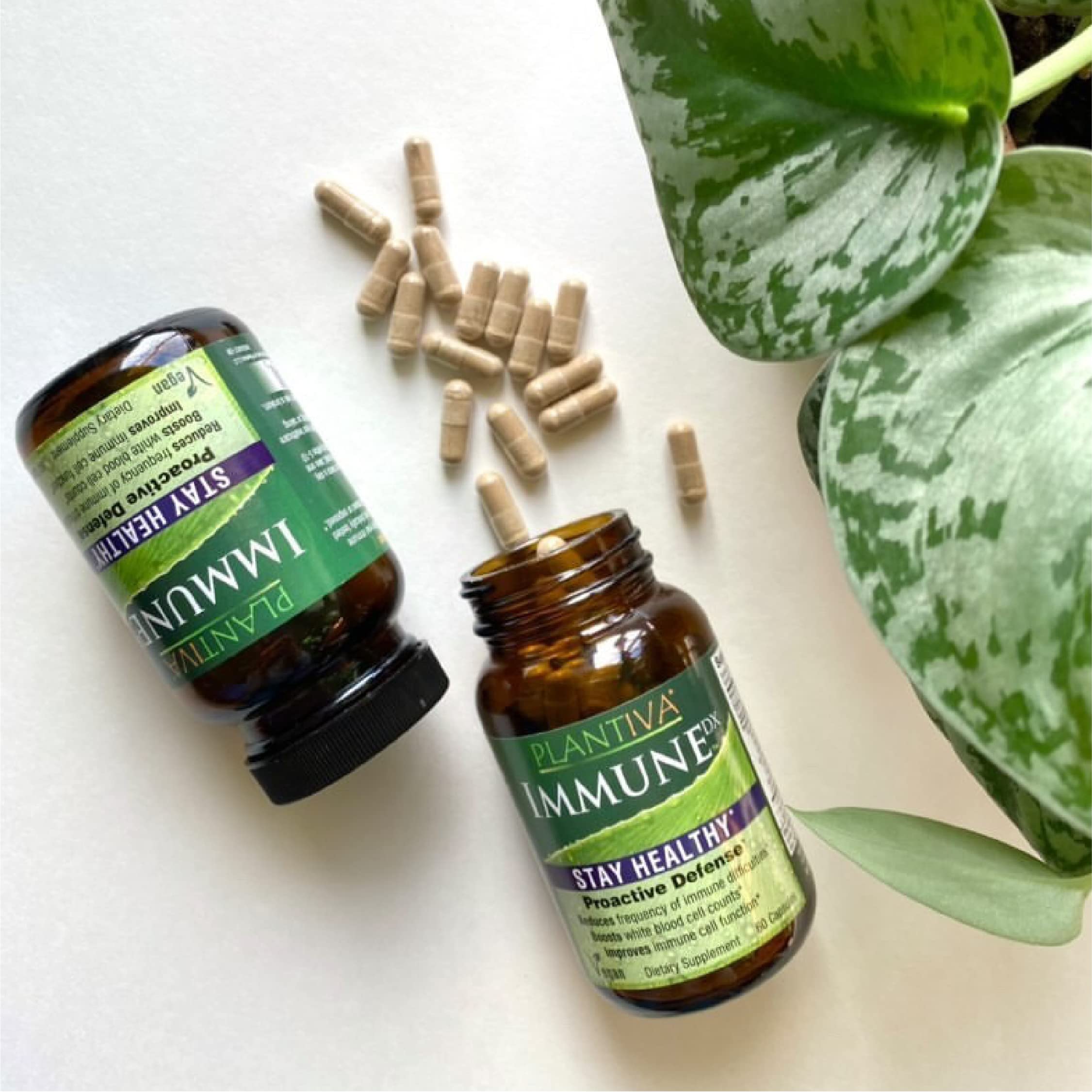 Packaging and sustainability emphasis for ImmuneDx