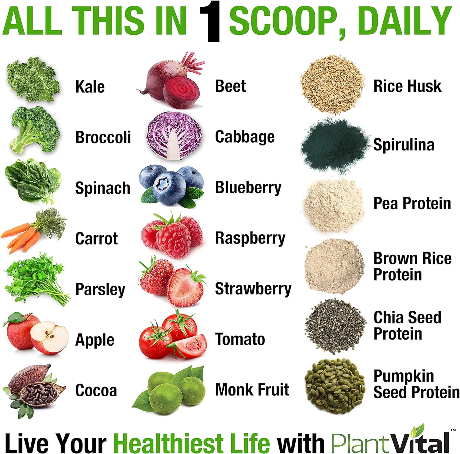 Plantvital ingredients collage with kale, beets, spirulina highlights nutrient-dense plant power