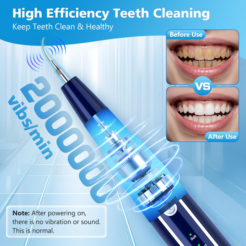 Teeth cleaning kit components including replacement heads, probe, plaque scraper and oral mirror