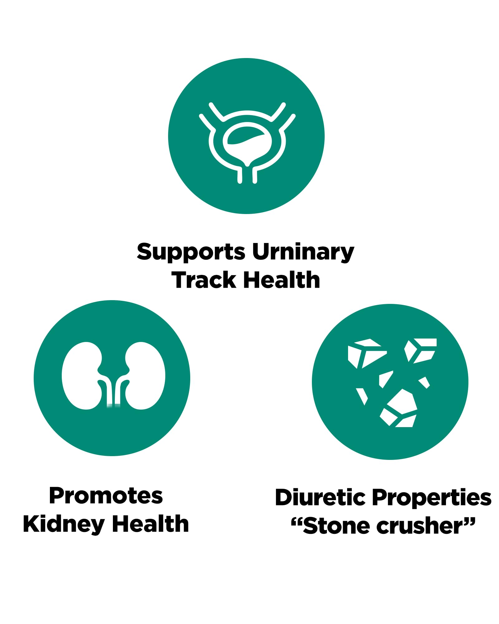 Platinum Naturals Chanca Piedra product label