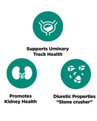 Platinum Naturals Chanca Piedra product label