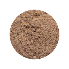 Close-up of Plexus Lean Whey Chocolate powder in a scoop