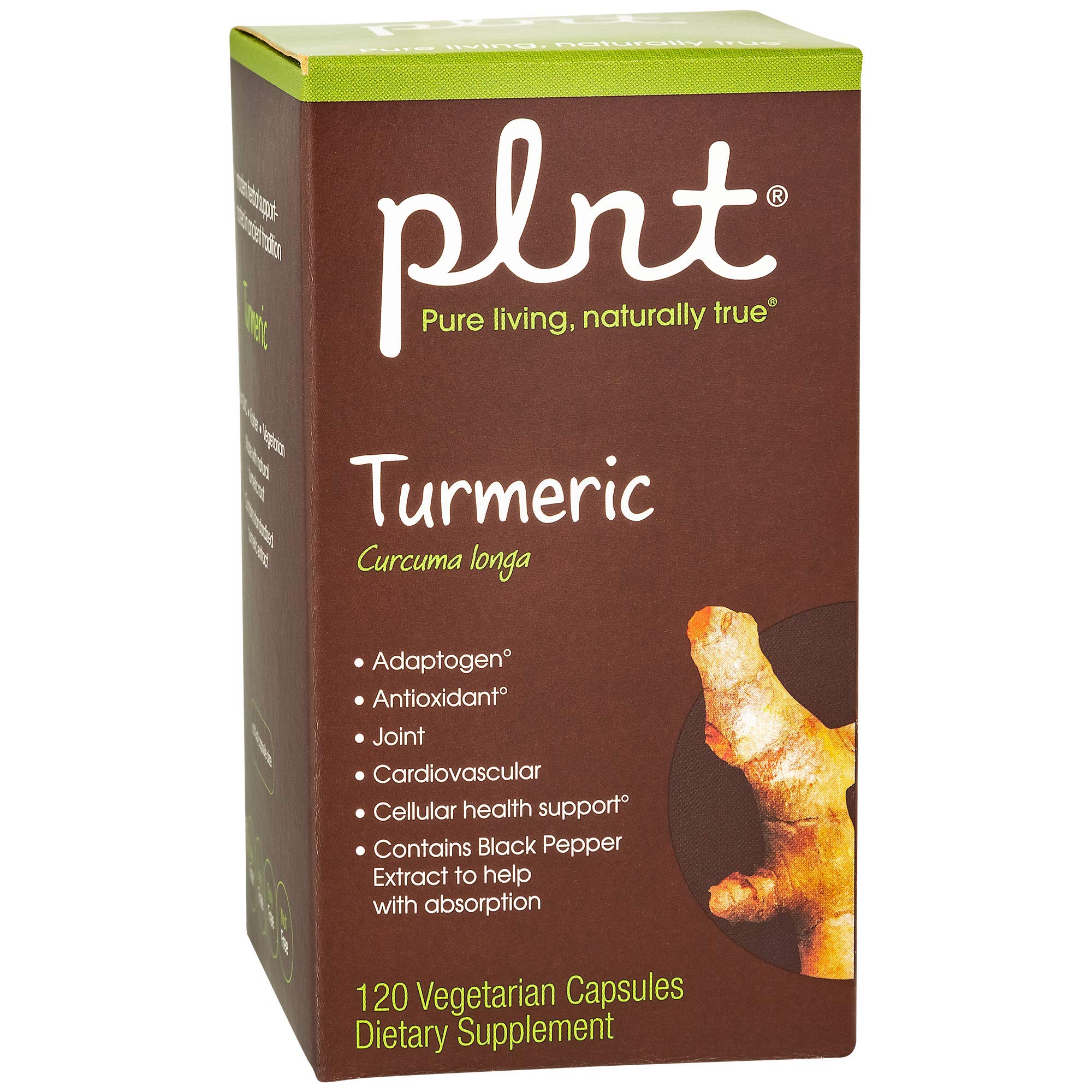 plnt Turmeric bottle front label