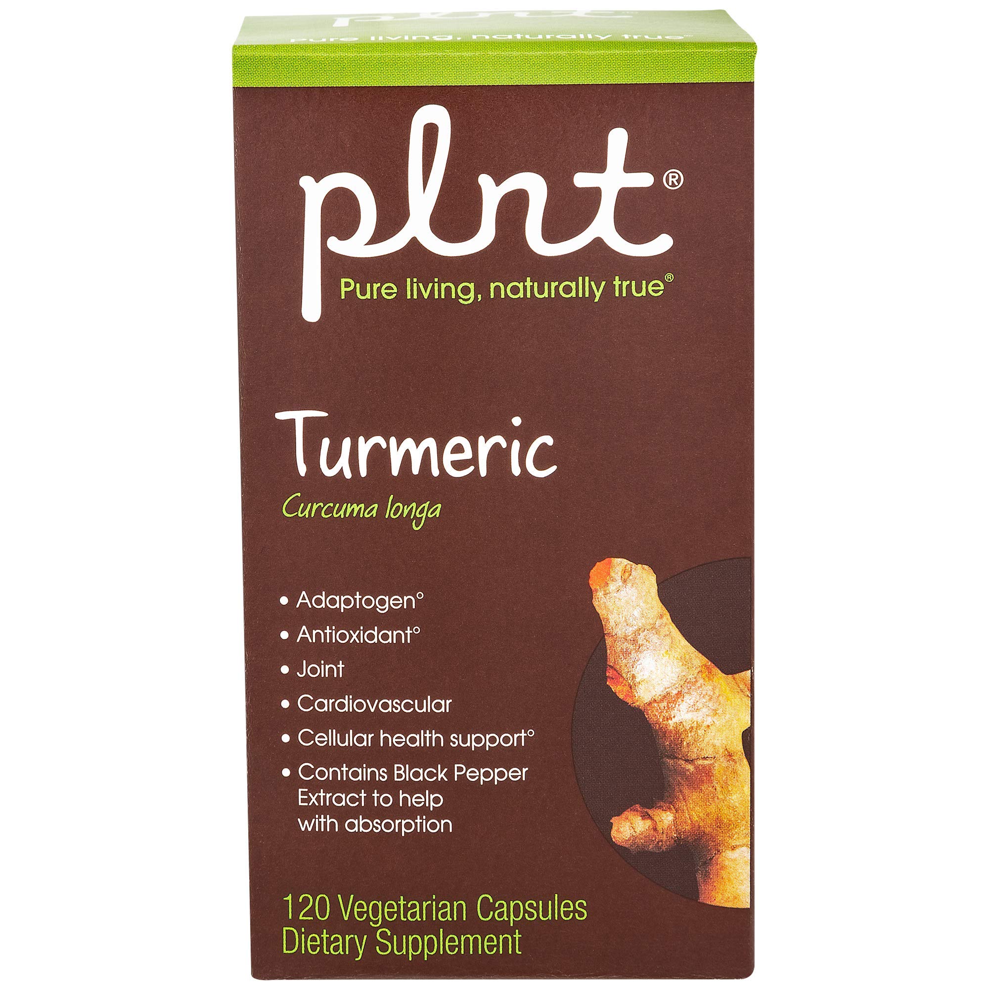 close-up of turmeric root