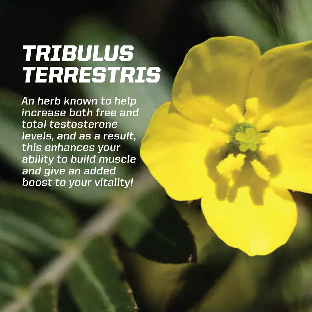 PMD Sports Z-Test bedtim e routine image showcasing nightly use.