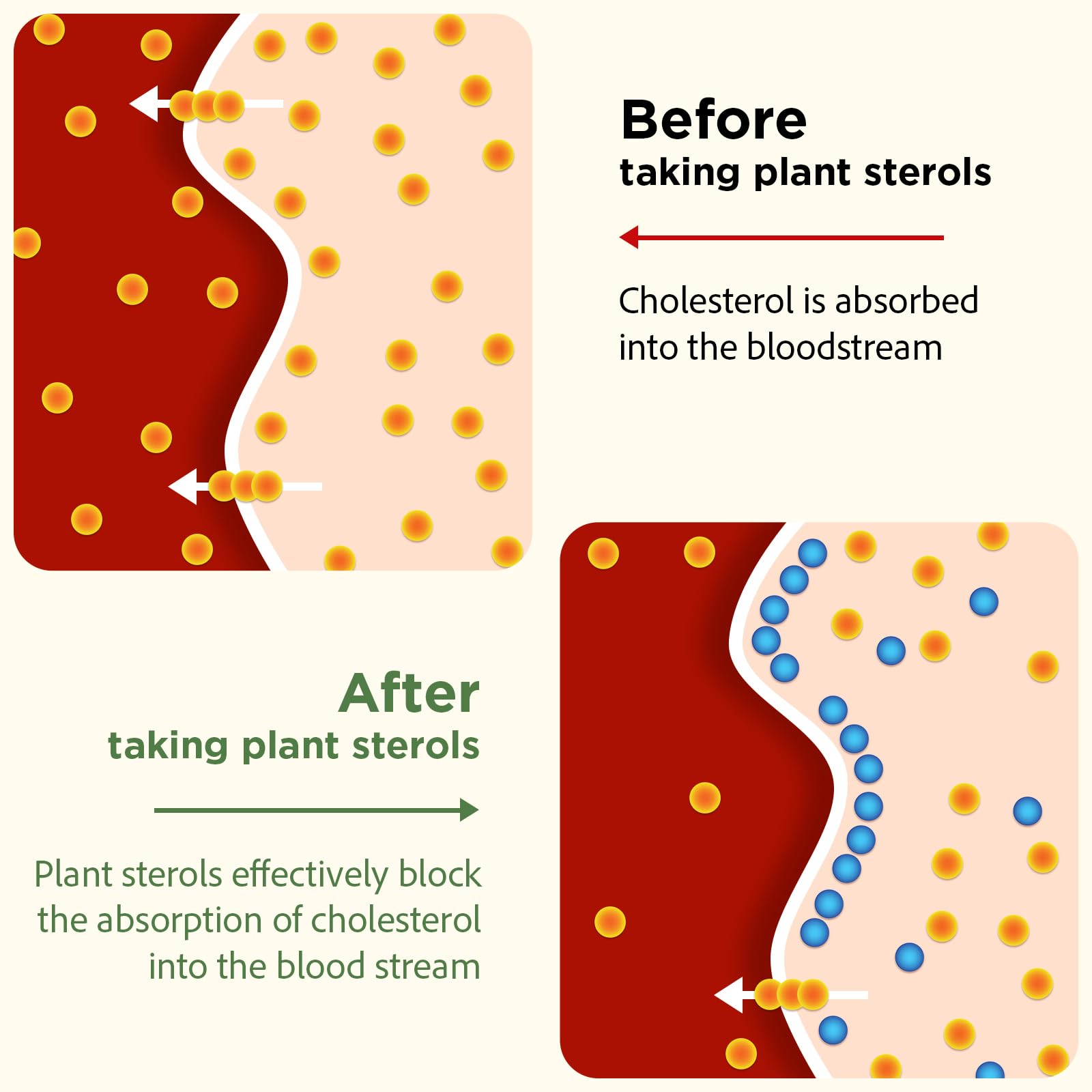 Policosanol 40 mg derived from sugarcane wax