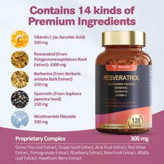 Graphic illustration of polyphenol antioxidants from plant extracts