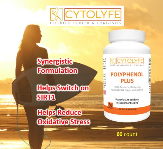 Brain-protective antioxidant blend Polyphenol Plus capsules