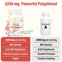 Graphic highlighting polyphenol ingredients