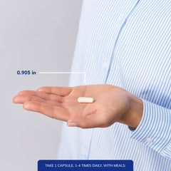 Nerve function and impulse transmission representation
