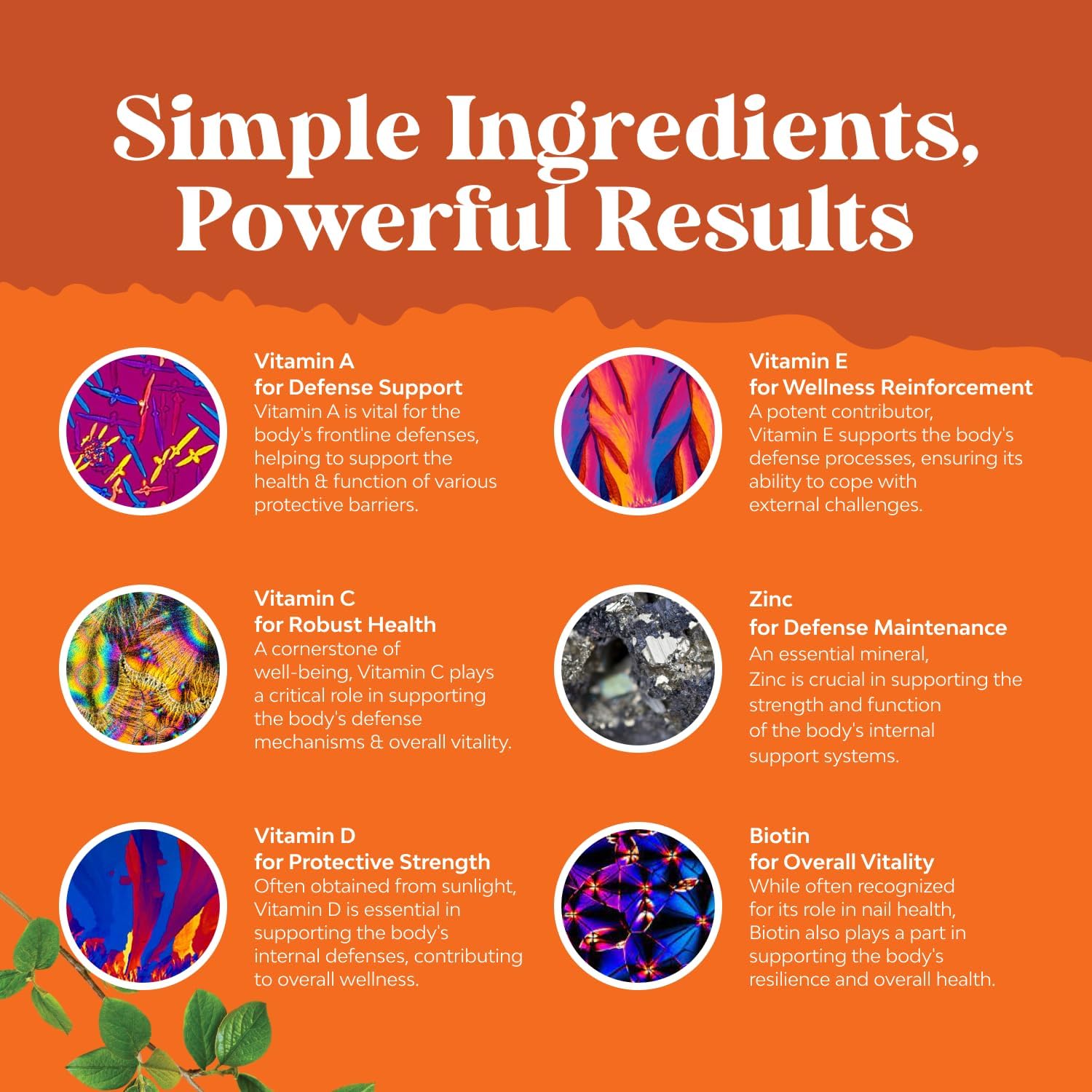 Packaging with Non-GMO Gluten Free Halal labels