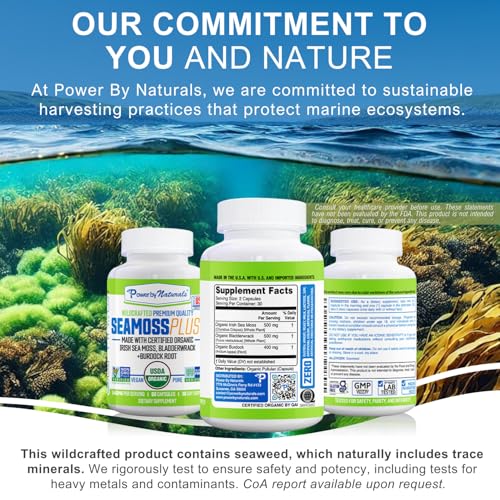 Two bottles of Sea Moss Plus 60 capsules each in a 2-pack