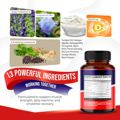 PowerFuelXV herbal blend ingredients graphic
