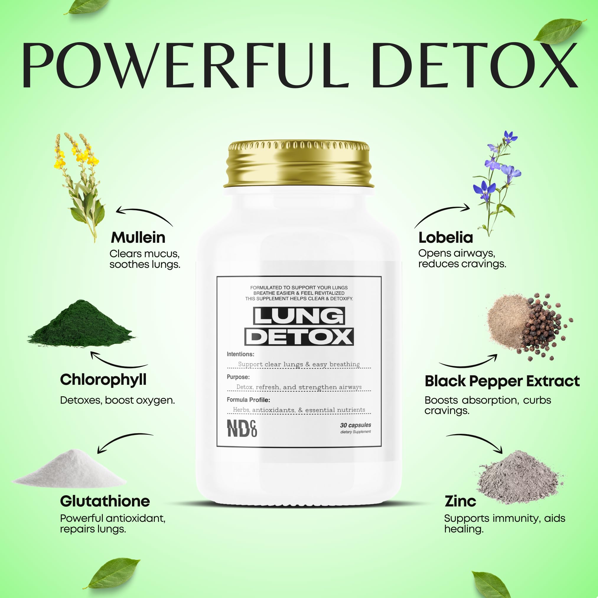 Close-up of Mullein and Chlorophyll ingredients