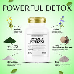 Close-up of Mullein and Chlorophyll ingredients