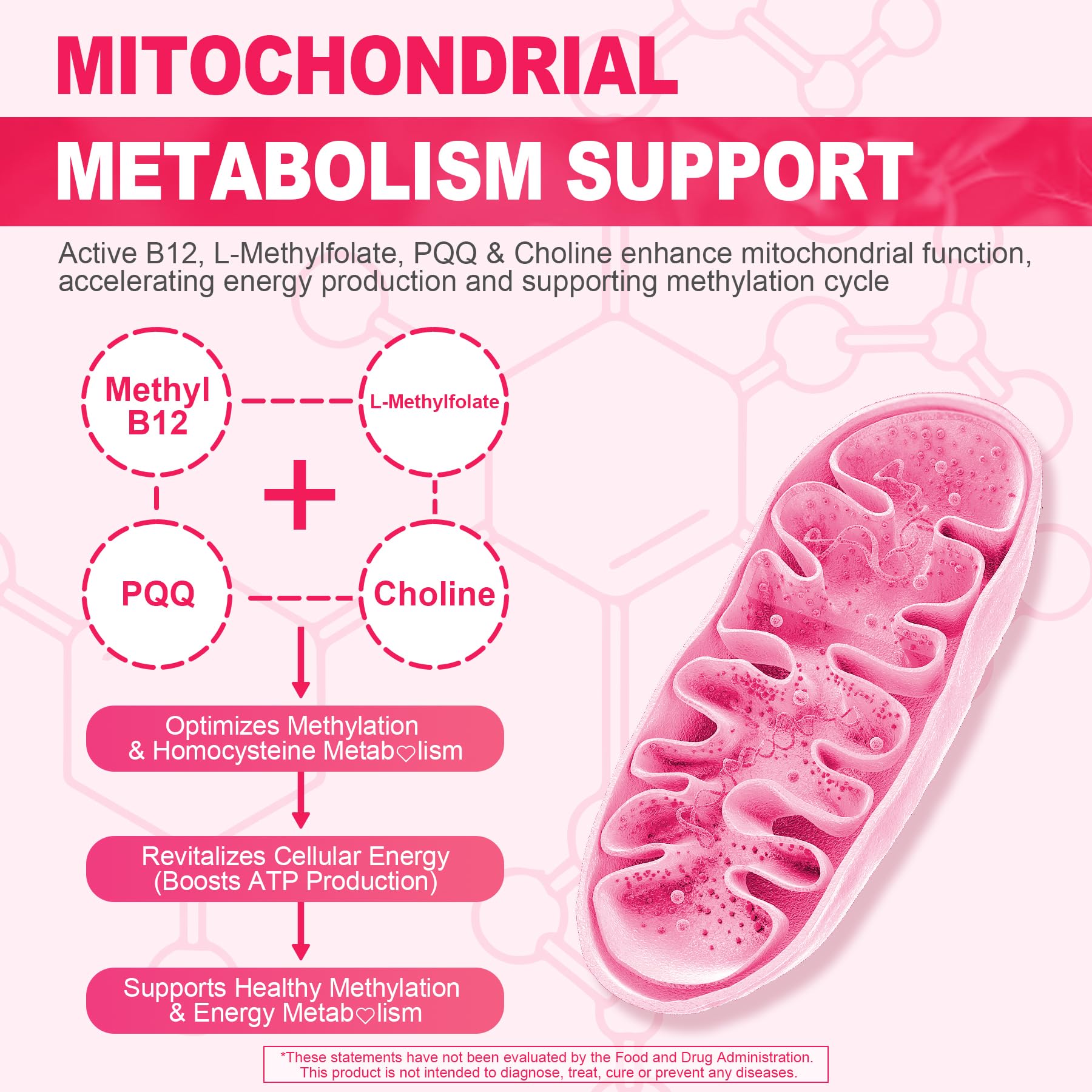 Antioxidants PQQ and alpha-lipoic acid for cellular energy