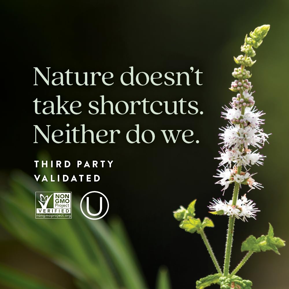 Prebiotic inulin fiber illustration