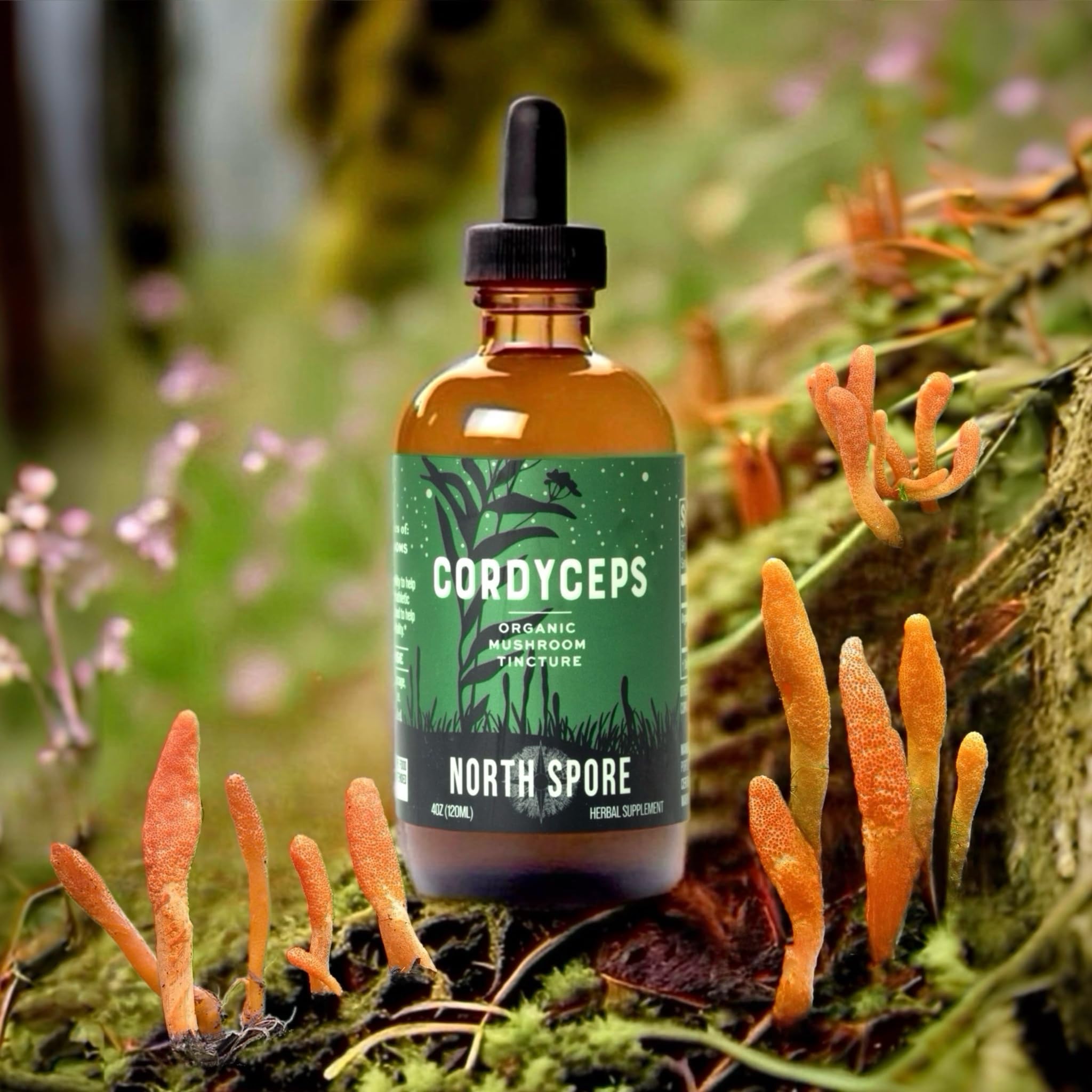 Precision dropper for customizable dosing with cordyceps tincture