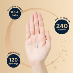 Micronized pregnenolone capsules demonstrating micronized form