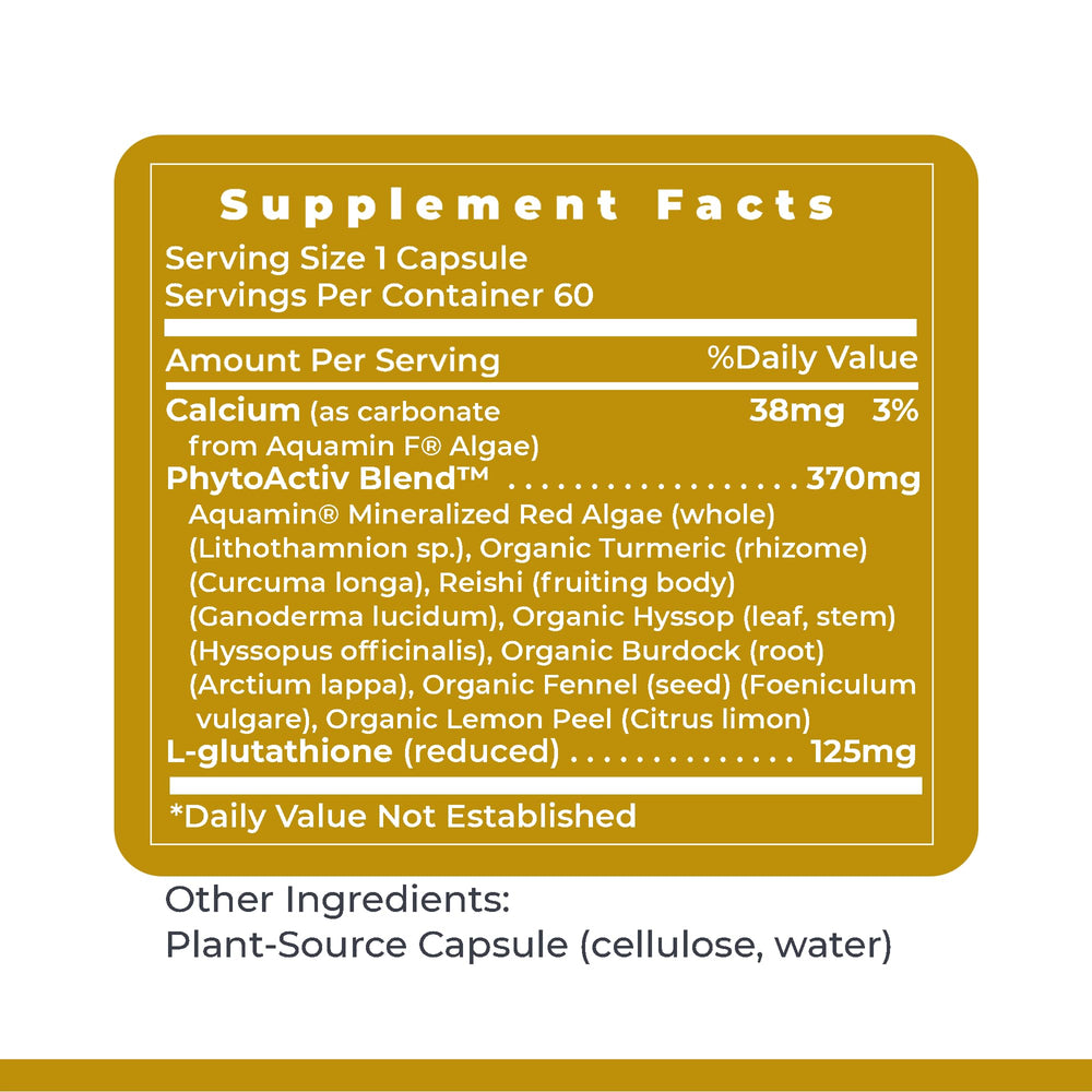 Phytoactiv blend close-up featuring red algae, turmeric, reishi, fennel for immune-support.