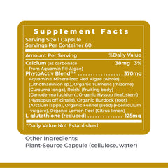 Phytoactiv blend close-up featuring red algae, turmeric, reishi, fennel for immune-support.