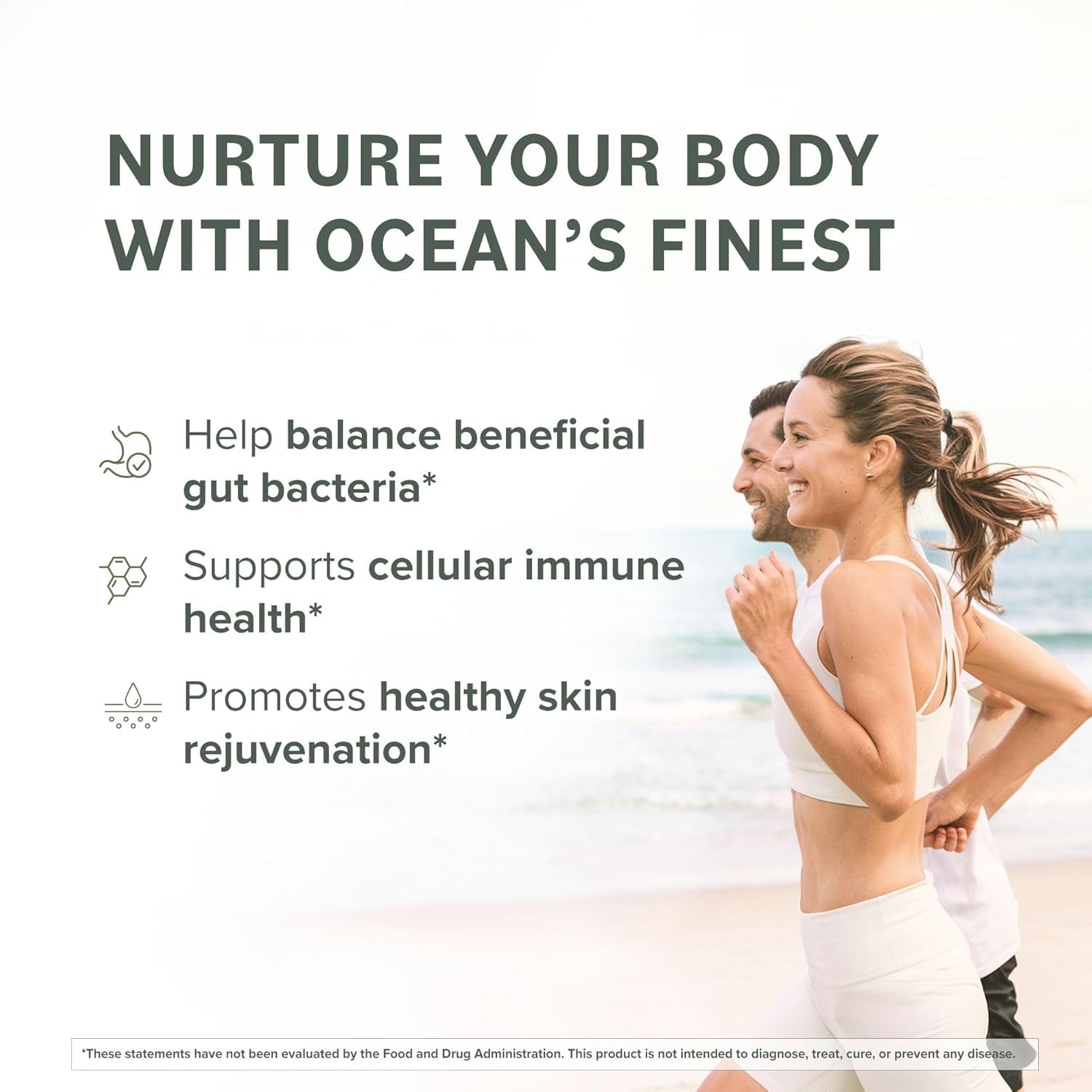 Premium brown seaweed extract source for fucoidan