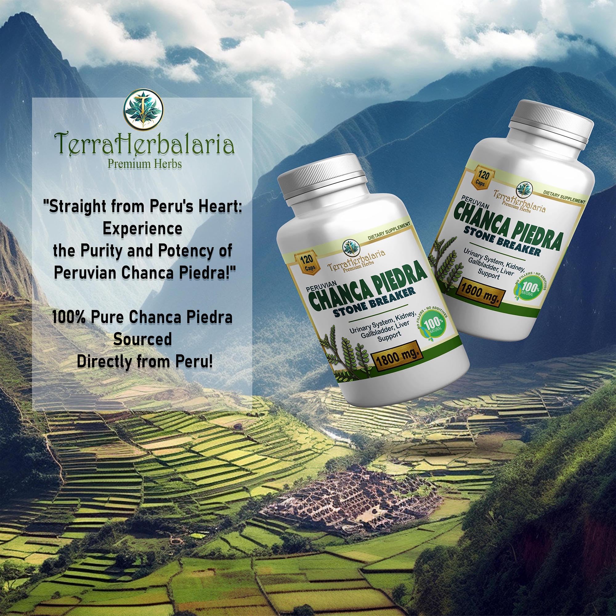 Premium Peruvian Chanca Piedra for kidney support
