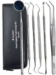 Premium dental tools plaque remover kit with case
