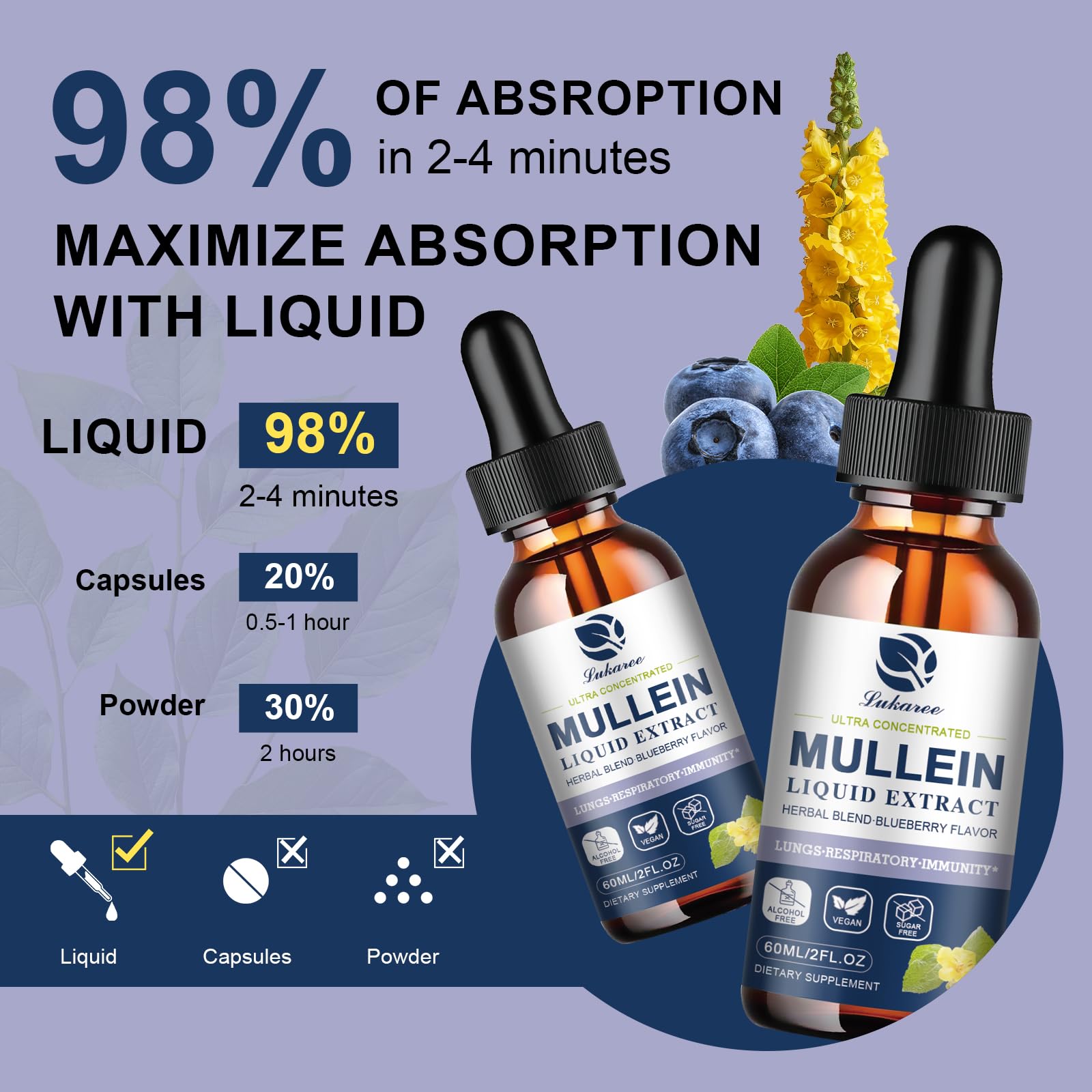 Premium herbal ingredients used in mullein tincture
