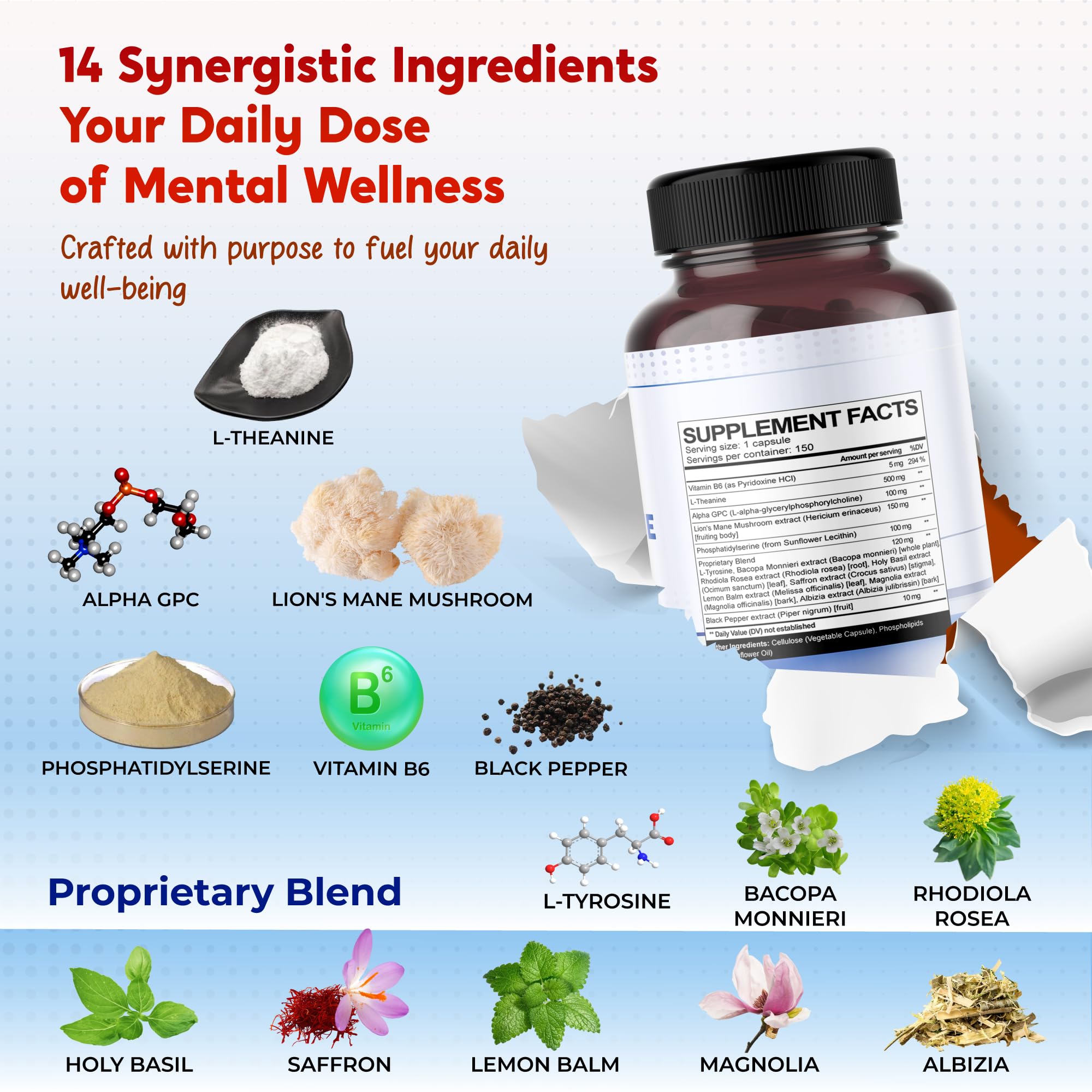 Illustration of the 14-ingredient brain blend including Alpha-GPC, Lion’s Mane