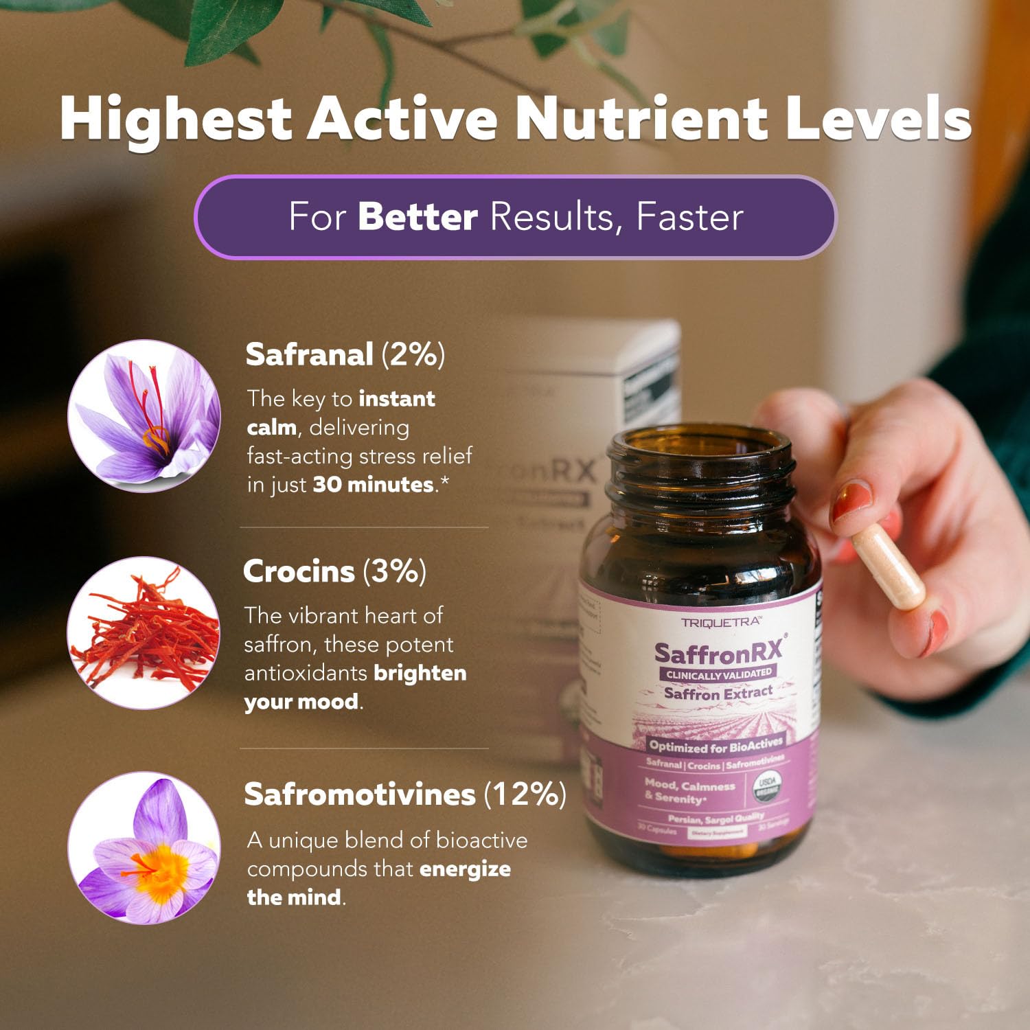 Premium Sargol saffron - high-grade saffron for extracts
