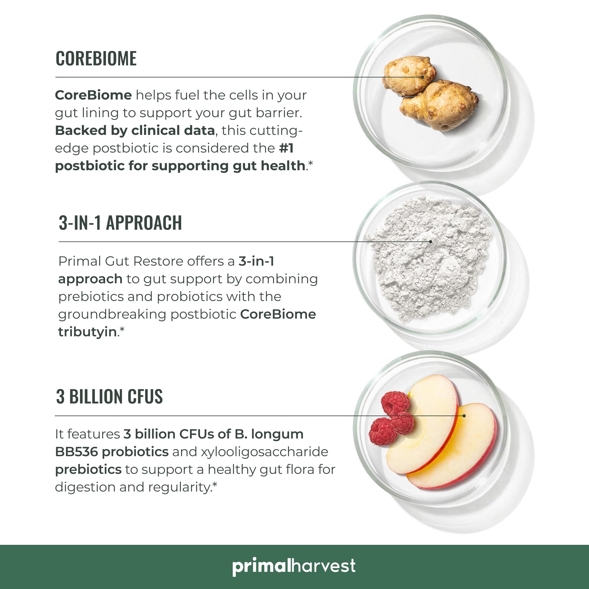Capsules and ingredients of Primal Gut Restore