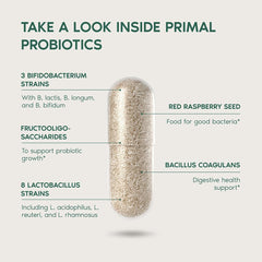 Illustration of probiotic ingredients and 12-strain blend