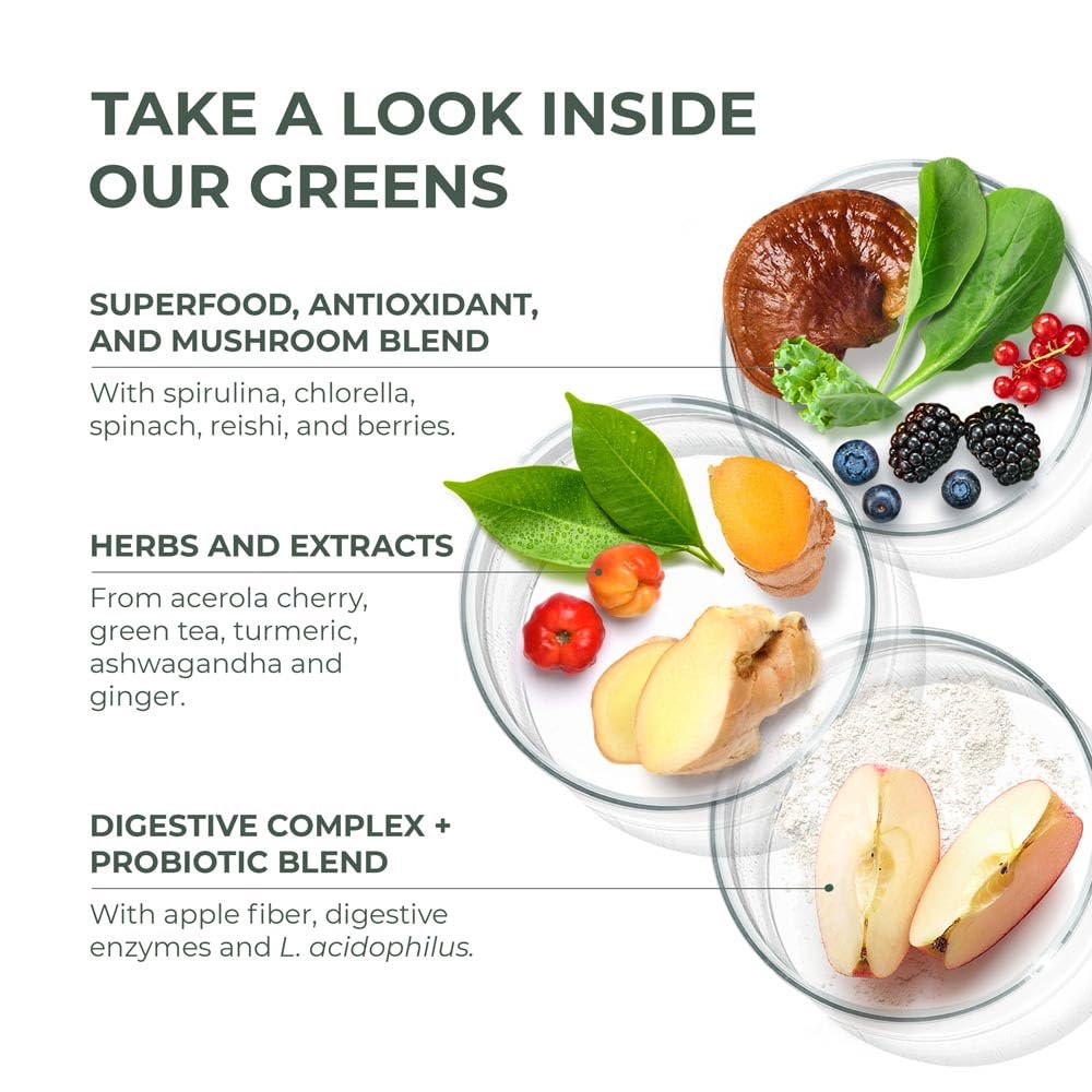 Close-up of spirulina and adaptogenic mushroom blend
