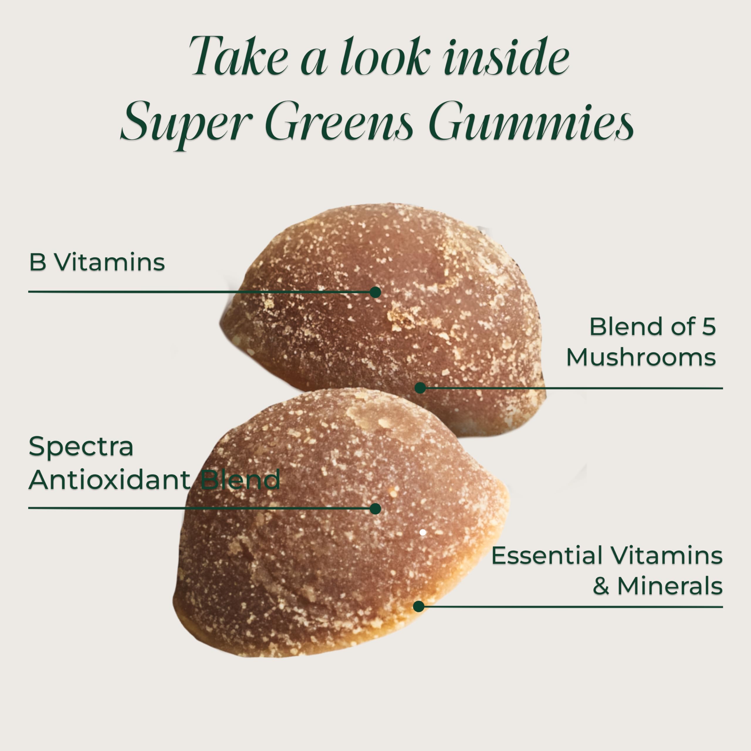 Illustration of greens: broccoli, spinach, kale, wheatgrass