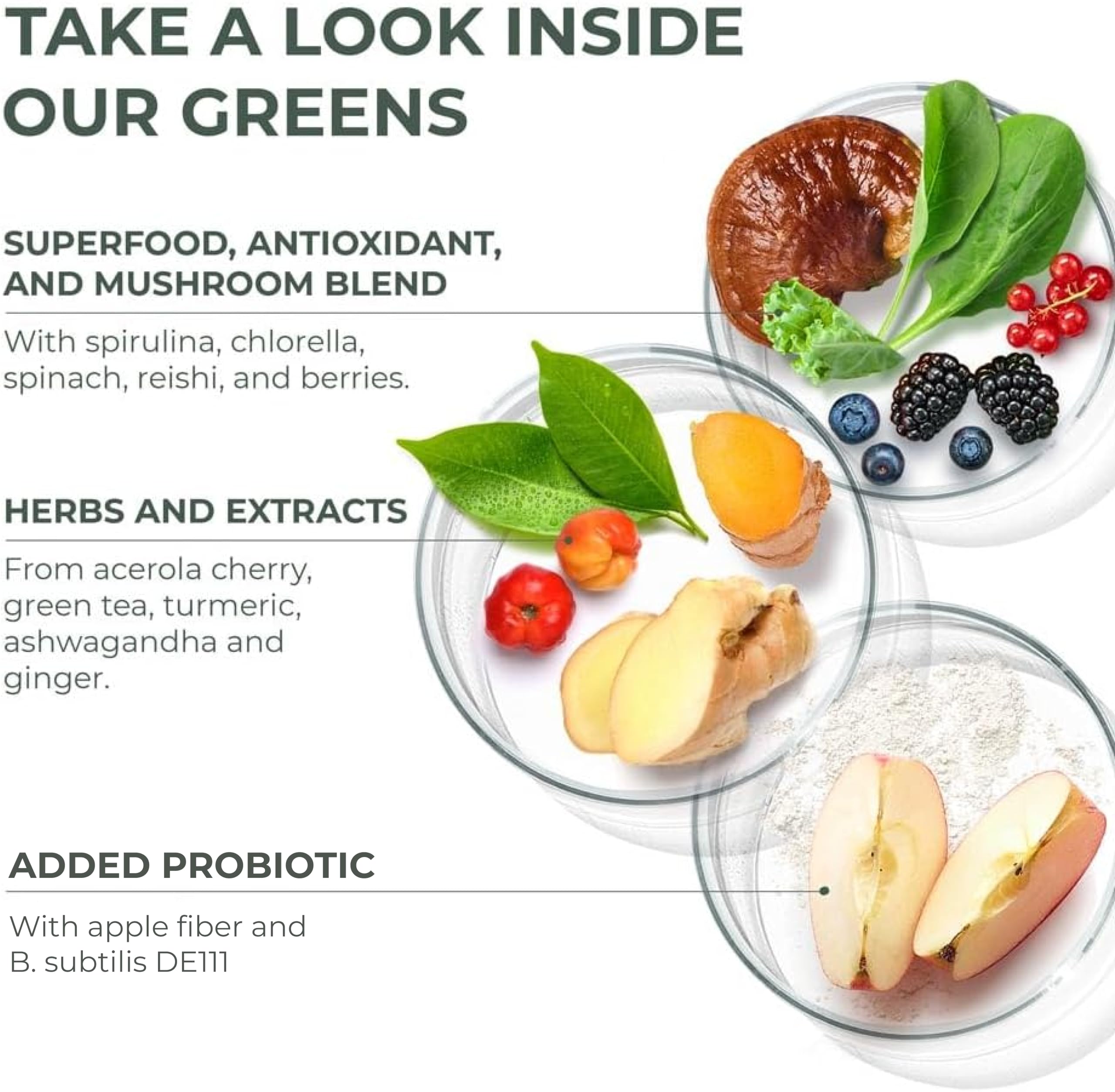 Primal Harvest Super Greens jar with glass of prepared green drink.