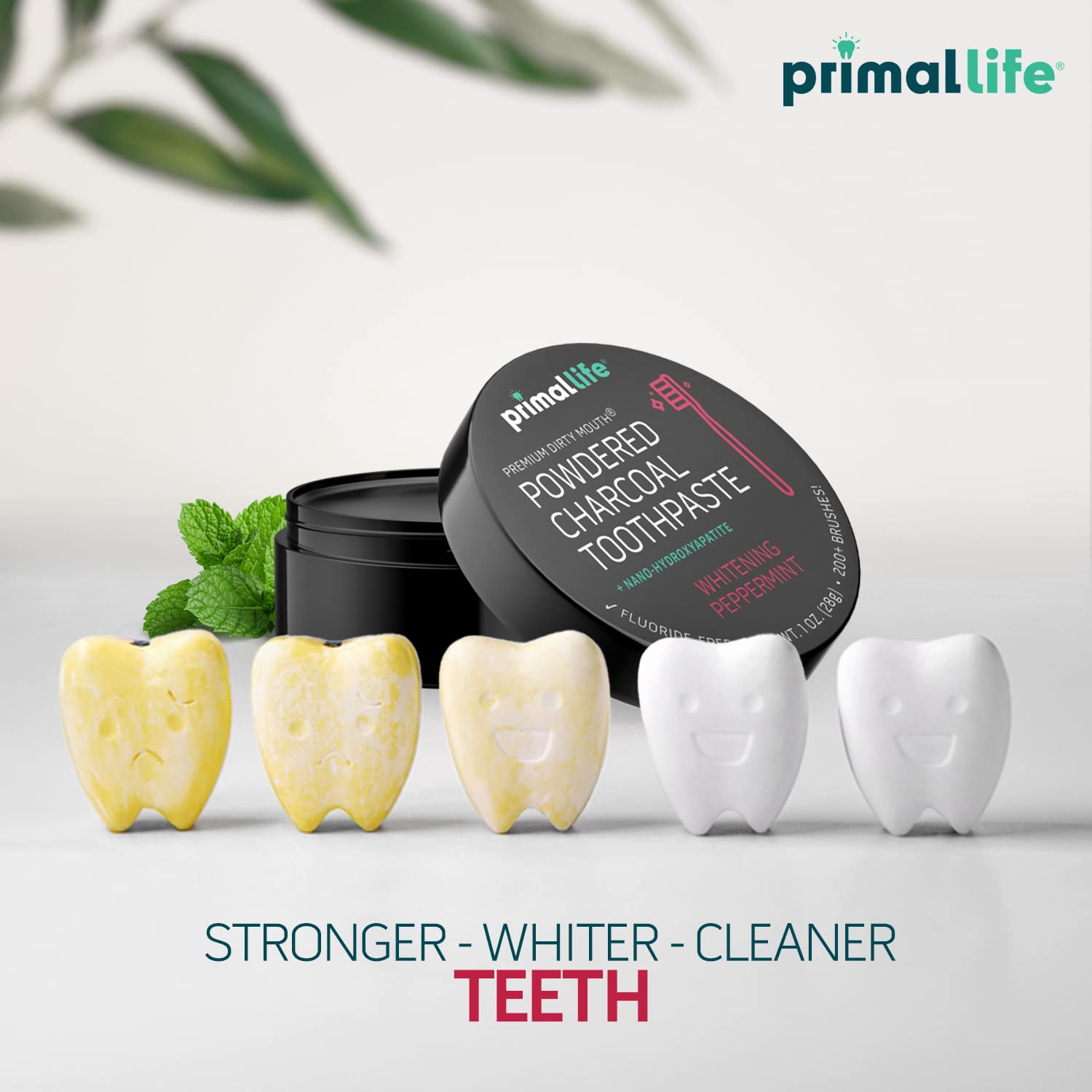 Brushing with Primal Life Organics toothpowder