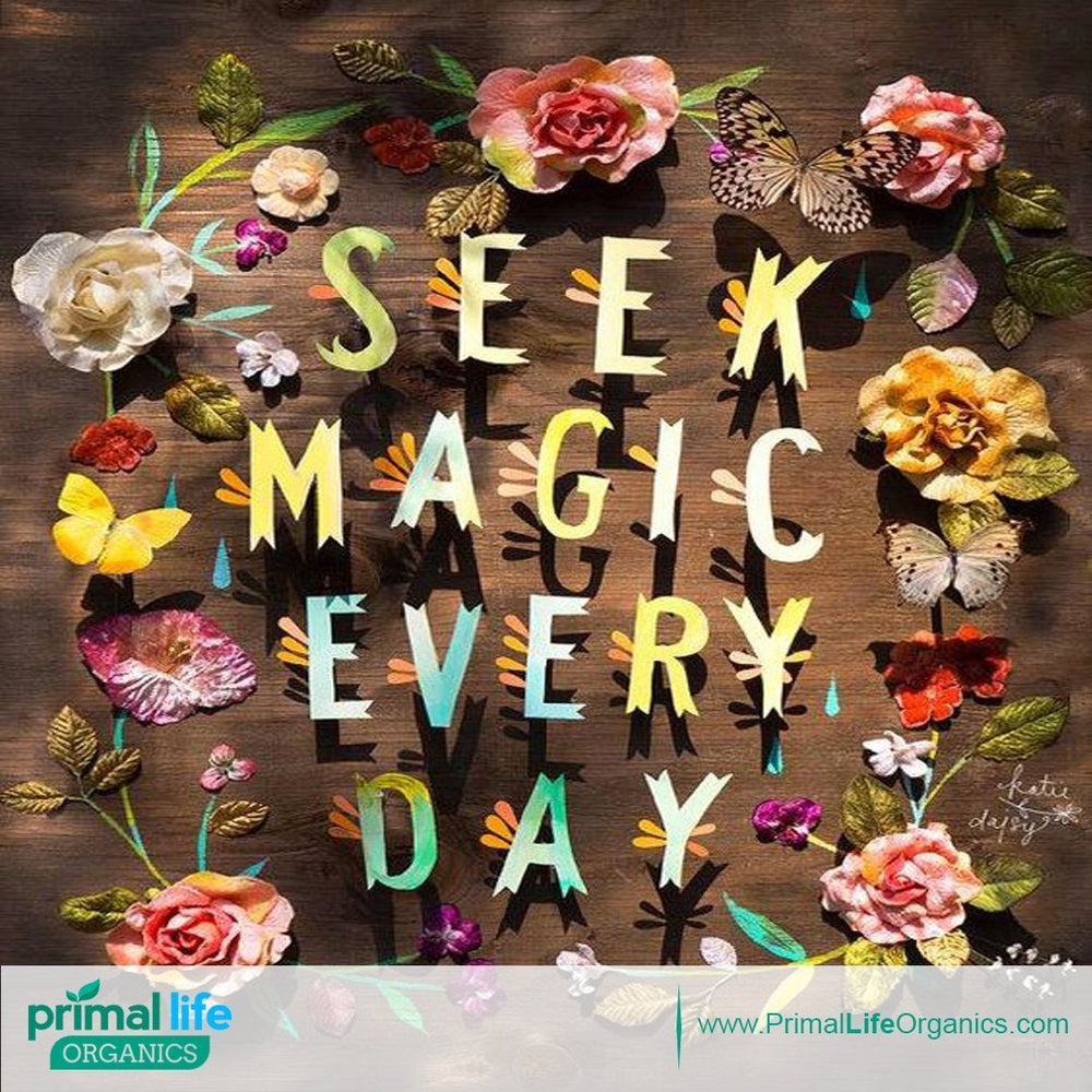 Primal Life Organics Dirty Mouth Toothpowder packaging and branding