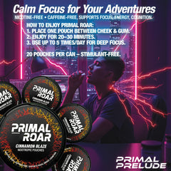 Primal Prelude Primal Roar Orange Cream Nova can enhances focus during work tasks.