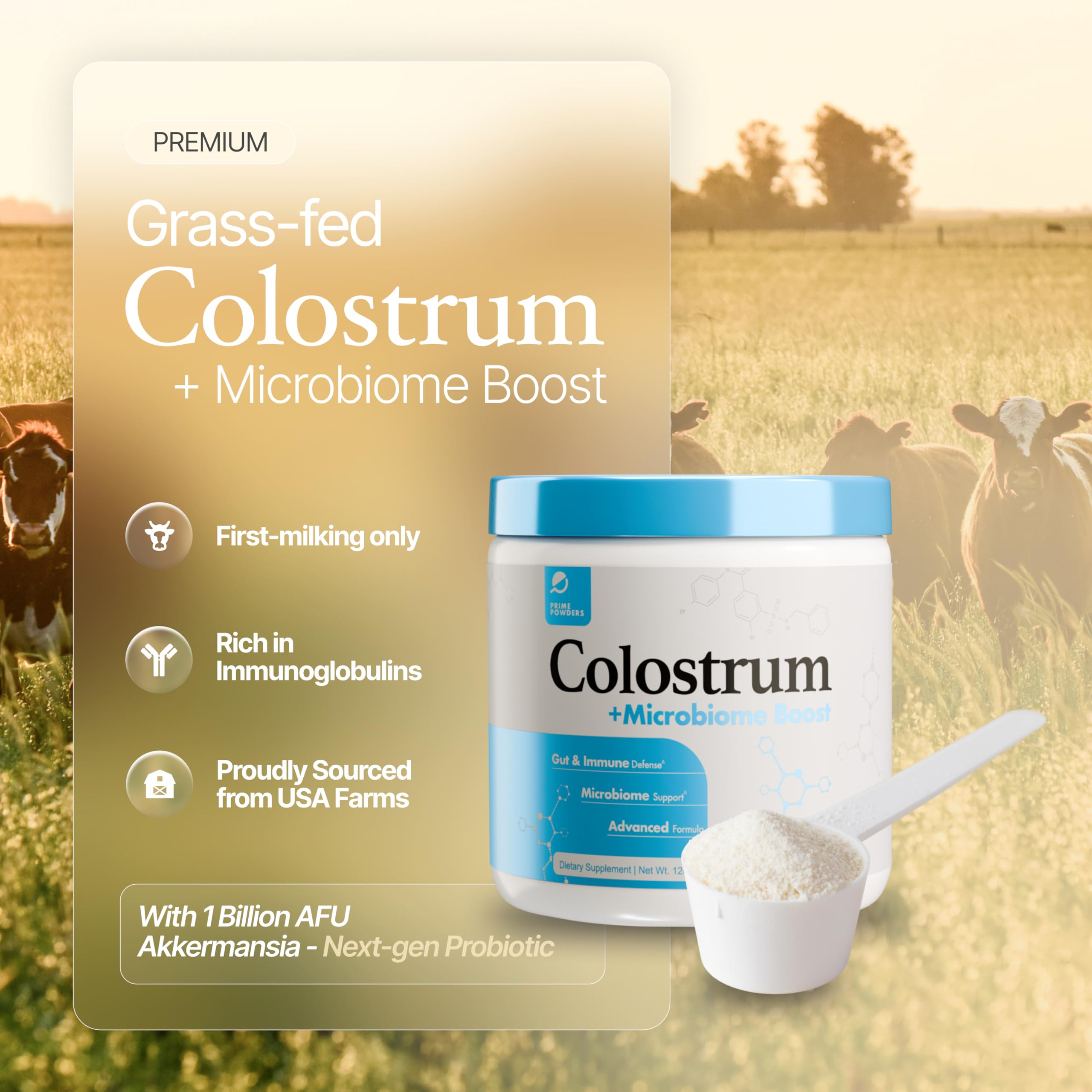 Close-up of Akkermansia muciniphila and colostrum ingredients