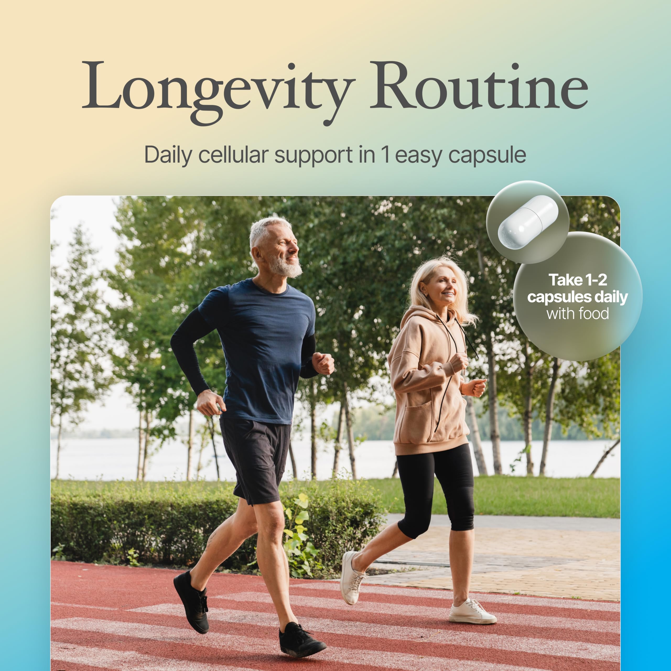 USA-made Prime Powders Spermidine Capsules - quality assured