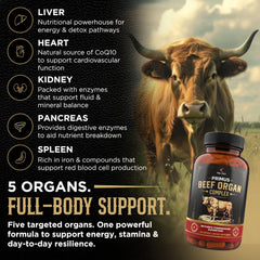 Beef organ supplement highlighting heart, liver, kidney, pancreas, and spleen