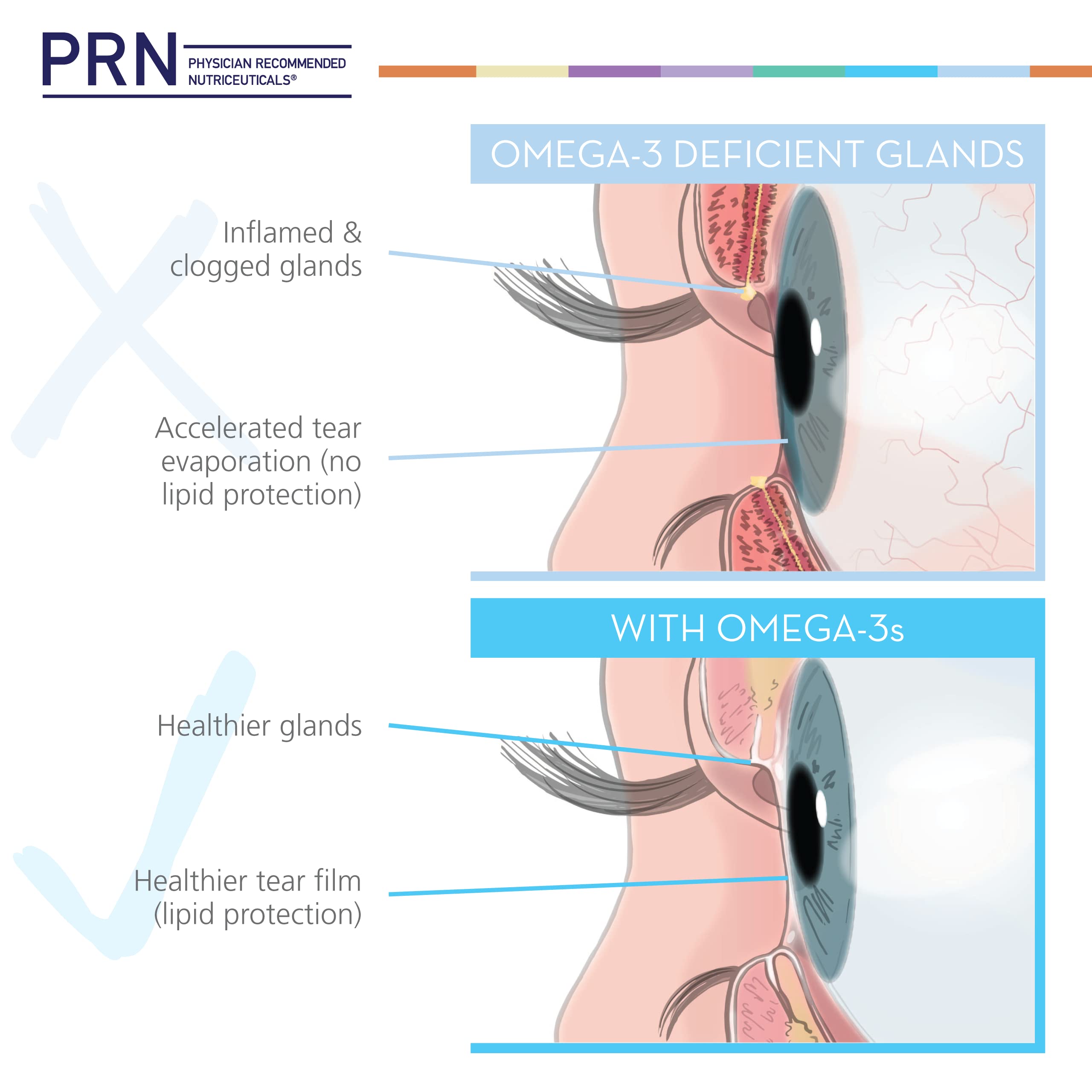 Tear film and eye health illustration for dry eye support
