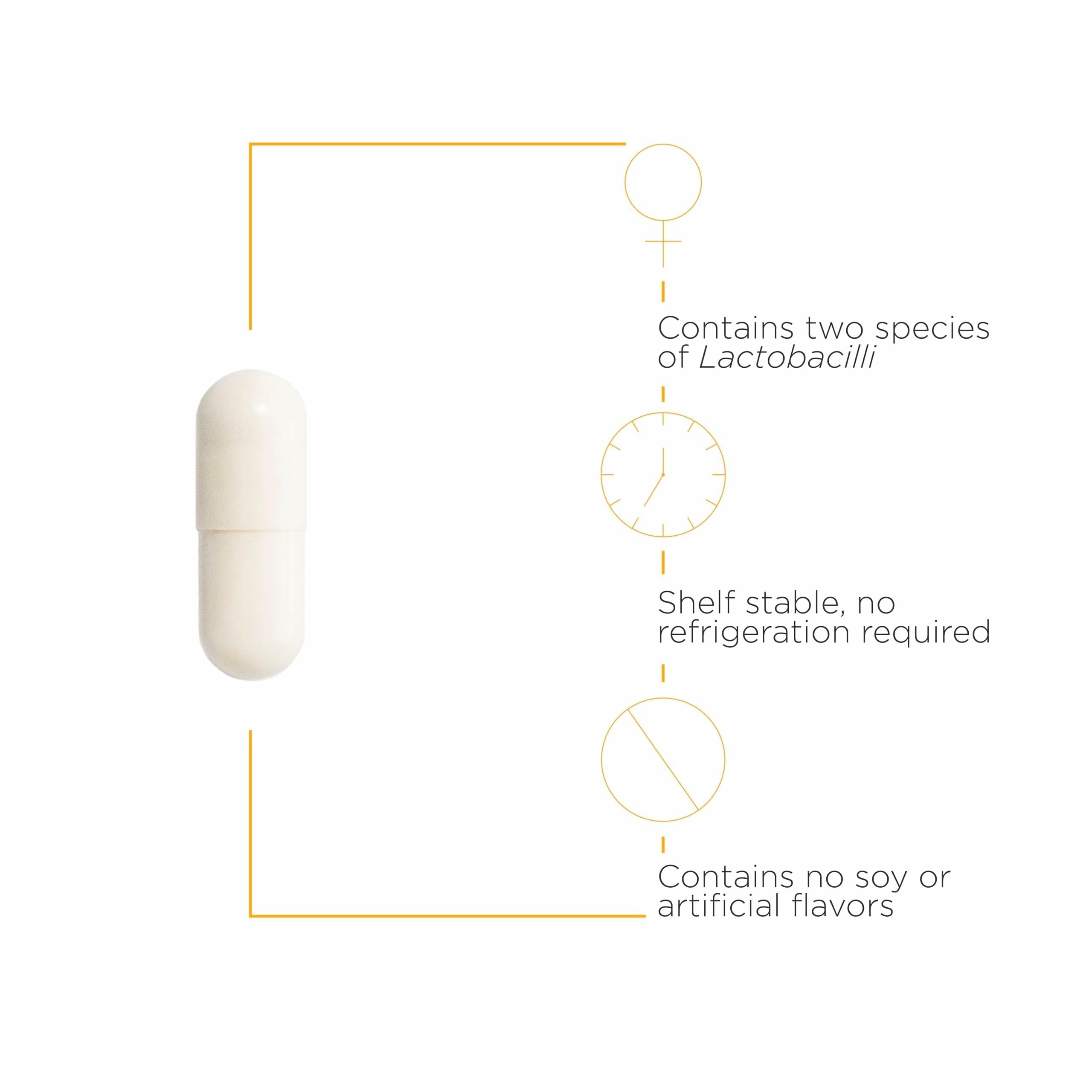 Lactobacillus rhamnosus GR-1 and Lactobacillus reuteri RC-14 illustration