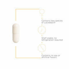 Lactobacillus rhamnosus GR-1 and Lactobacillus reuteri RC-14 illustration