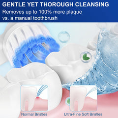 Durable flocking technology keeps bristles firm and long-lasting
