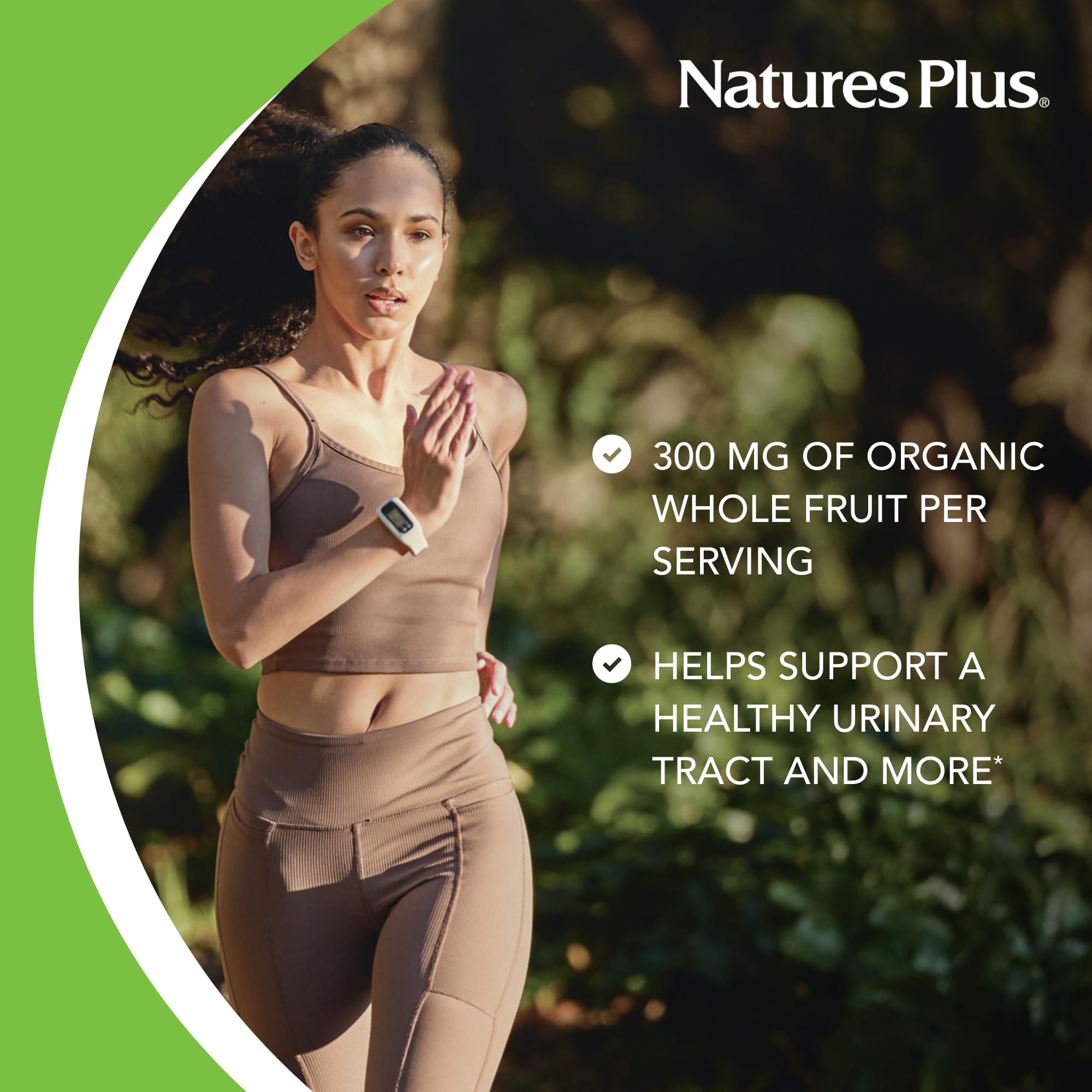 Close-up of PACs proanthocyanidins compounds