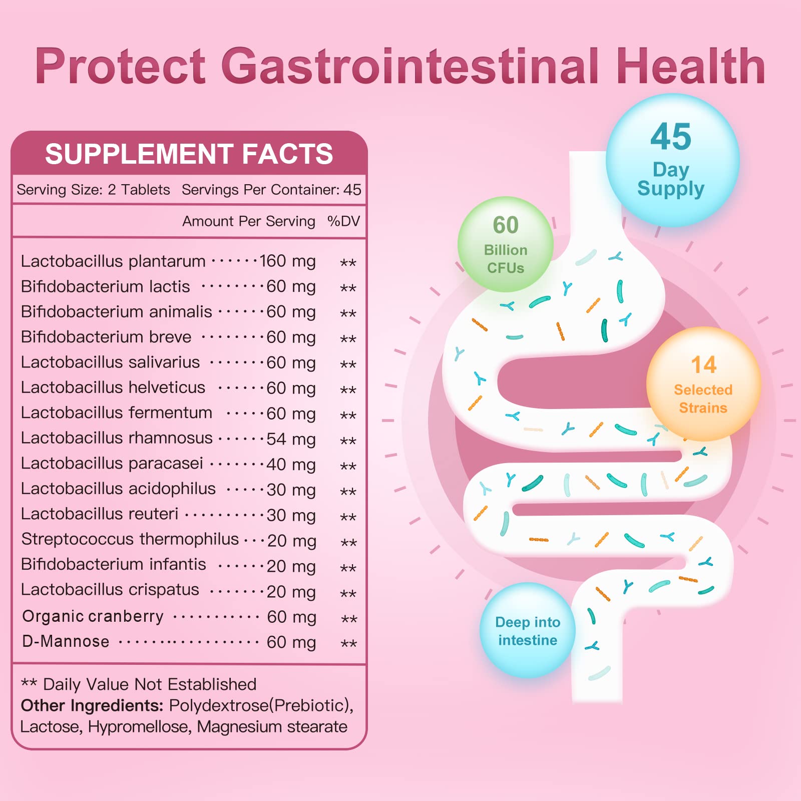 Small, easy-to-swallow probiotic capsule